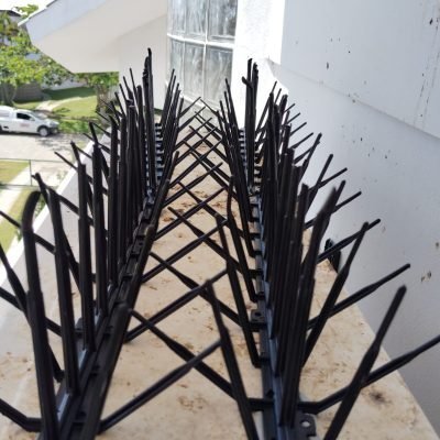 WhatsApp Image 2025-01-13 at 14.58.36